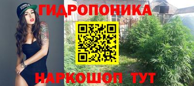 амф Кунгур