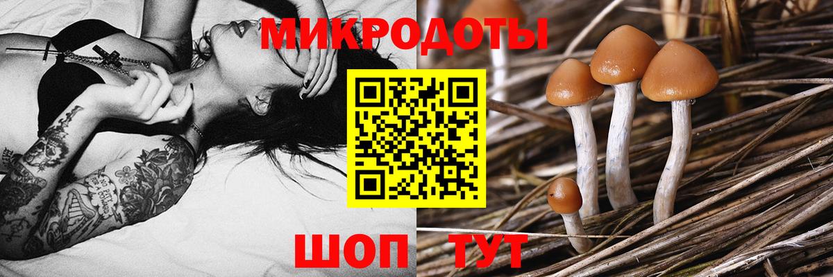 Галлюциногенные грибы прущие грибы  Псилоцибиновые грибы Magic Shrooms  Вход с VPN  Ирбит 